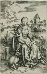 Madonna z Małpą autorstwa Albrecht Dürer