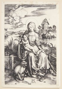 Madonna z małpą autorstwa Albrecht Dürer