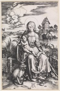 Maria z Dzieciątkiem i małpką autorstwa Albrecht Dürer