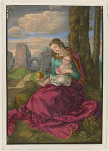 Maria z Dzieciątkiem i gruszką autorstwa Albrecht Dürer