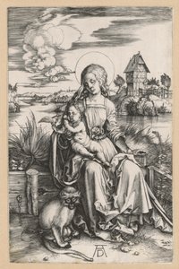 Maria z Dzieciątkiem i małpką morską autorstwa Albrecht Dürer