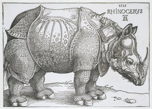 Neushoorn Nosorożec (tytuł na obiekcie) autorstwa Albrecht Dürer