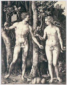 Grzech pierworodny autorstwa Albrecht Dürer