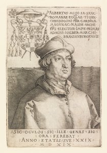 Portret Albrechta Brandenburgii autorstwa Albrecht Dürer