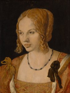 Portret młodej weneckiej kobiety, 1505 autorstwa Albrecht Dürer