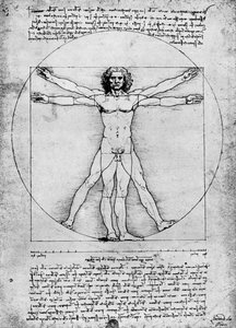 Proporcje postaci ludzkiej, c1492, 1936 autorstwa Albrecht Dürer