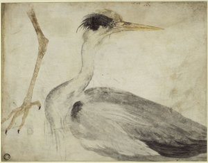  autorstwa Albrecht Dürer