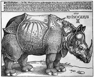 Nosorożec, grafika podarowana Maksymilianowi I przez króla Lizbony, 1515, 1936 autorstwa Albrecht Dürer