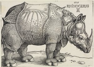 Rhinocerus (Nosorożec) autorstwa Albrecht Dürer