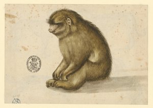  autorstwa Albrecht Dürer