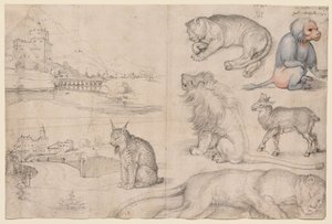  autorstwa Albrecht Dürer