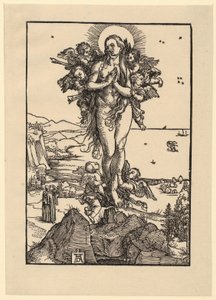 Arkusz ćwiczeniowy z pięcioma rysunkami autorstwa Albrecht Dürer