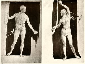 Studia o Adamie i Ewie autorstwa Albrecht Dürer