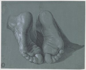 Studium dwóch stóp autorstwa Albrecht Dürer