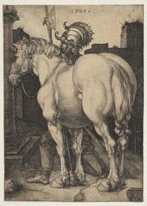 Wielki koń autorstwa Albrecht Dürer