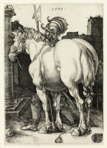 Duży koń autorstwa Albrecht Dürer