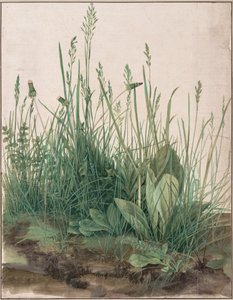 Duży kawałek murawy autorstwa Albrecht Dürer