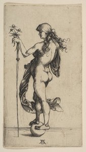 Mała fortuna autorstwa Albrecht Dürer
