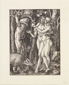 Mała Pasja: Upadek człowieka autorstwa Albrecht Dürer