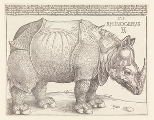 Nosorożec autorstwa Albrecht Dürer