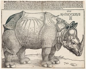 Nosorożec autorstwa Albrecht Dürer
