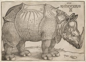  autorstwa Albrecht Dürer