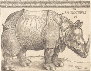 Nosorożec, 1515. autorstwa Albrecht Dürer