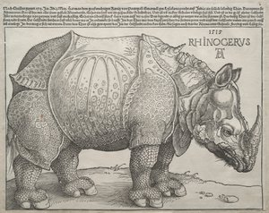 Nosorożec, 1515. autorstwa Albrecht Dürer