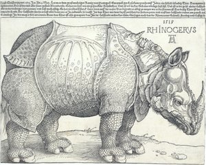 Nosorożec, 1515., 1515. autorstwa Albrecht Dürer