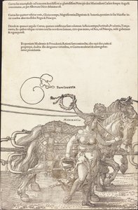Rydwan triumfalny Maksymiliana I (Wielki Wagon Triumfalny) [płyta 3 z 8] autorstwa Albrecht Dürer