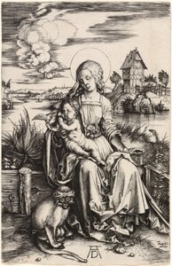 Dziewica i Dziecko z Małpą autorstwa Albrecht Dürer