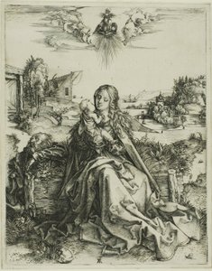 Dziewica z ważką autorstwa Albrecht Dürer