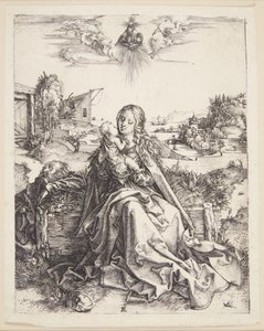 Dziewica z ważką autorstwa Albrecht Dürer