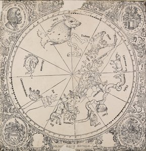 Mapa szkieletowa półkuli południowej, początek XVI wieku autorstwa Albrecht Dürer