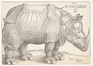 Nosorożec autorstwa Albrecht Dürer