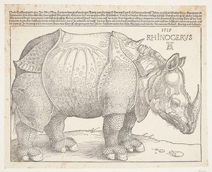 Nosorożec autorstwa Albrecht Dürer