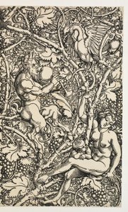 Dwa wzory na gobelin z satyrrodziną autorstwa Albrecht Dürer