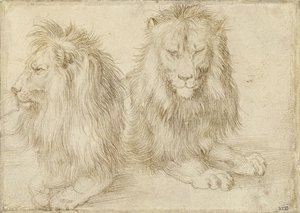 Dwa siedzące lwy, 1521 autorstwa Albrecht Dürer