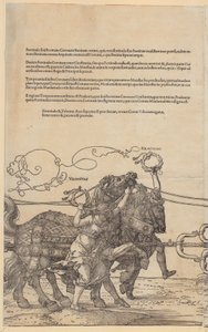 Velocitas, plansza 5 z cyklu "Wielki wóz triumfalny" autorstwa Albrecht Dürer