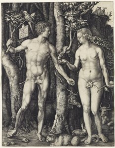 Adam i Ewa autorstwa Albrecht Dürer