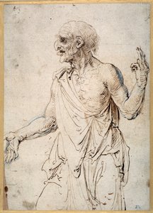 Stary człowiek gestykulujący (pióro i atrament na papierze) autorstwa Albrecht Dürer