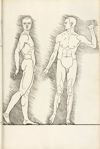Drzeworyt anatomiczny z Herein obejmuje cztery księgi o proporcjach ludzkich, 1528 autorstwa Albrecht Dürer