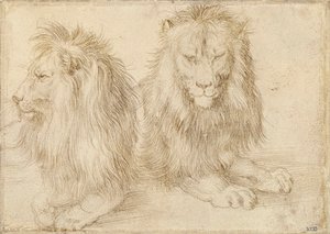 Dwa siedzące lwy - Rysunek Albrechta Durera (1471-1528) autorstwa Albrecht Dürer