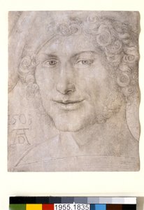 Głowa młodego mężczyzny, 1503 autorstwa Albrecht Dürer
