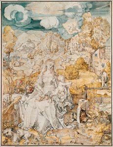 Madonna z mnóstwem zwierząt (akwarela, pióro i pędzel na papierze) autorstwa Albrecht Dürer or Duerer