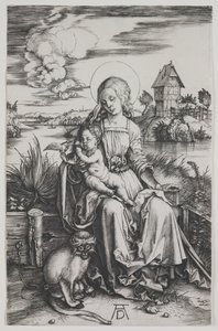 Madonna z małpą, ok. 1498 (rycina) autorstwa Albrecht Dürer or Duerer