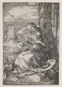 Madonna z gruszką autorstwa Albrecht Dürer or Duerer