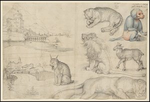 Szkice zwierząt i krajobrazów, 1521 autorstwa Albrecht Dürer