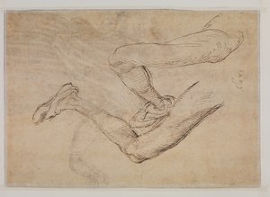 Badanie lewej nogi z dwóch punktów widzenia autorstwa Albrecht Dürer