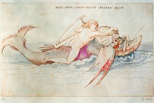 Grecki poeta Arion ujeżdżający delfina, ok. 1515 (akwarela na papierze) autorstwa Albrecht Dürer or Duerer